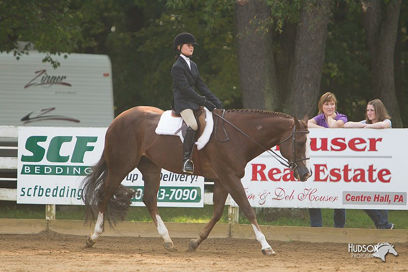 4H-Districts-11_1419.jpg