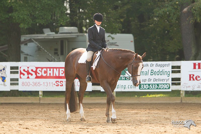 4H-Districts-11_1420.jpg