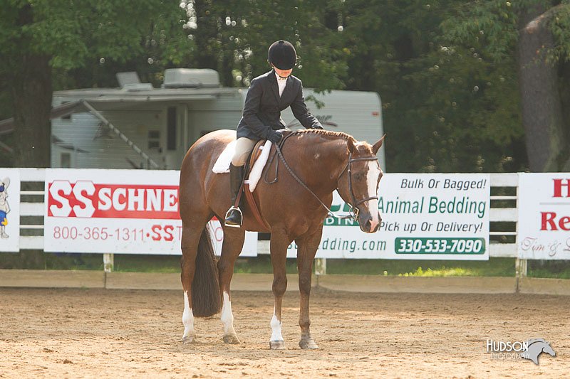 4H-Districts-11_1421.jpg