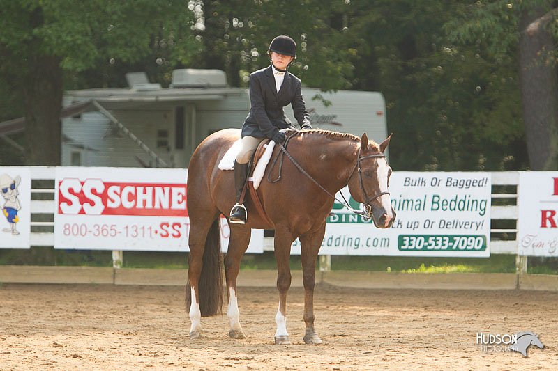 4H-Districts-11_1422.jpg