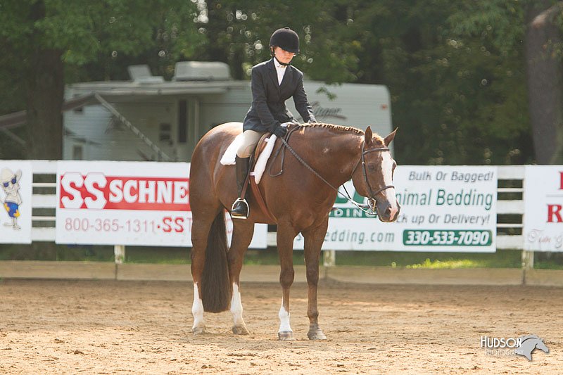 4H-Districts-11_1423.jpg