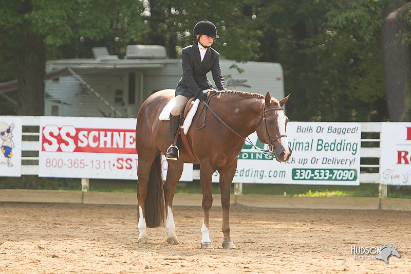 4H-Districts-11_1424.jpg