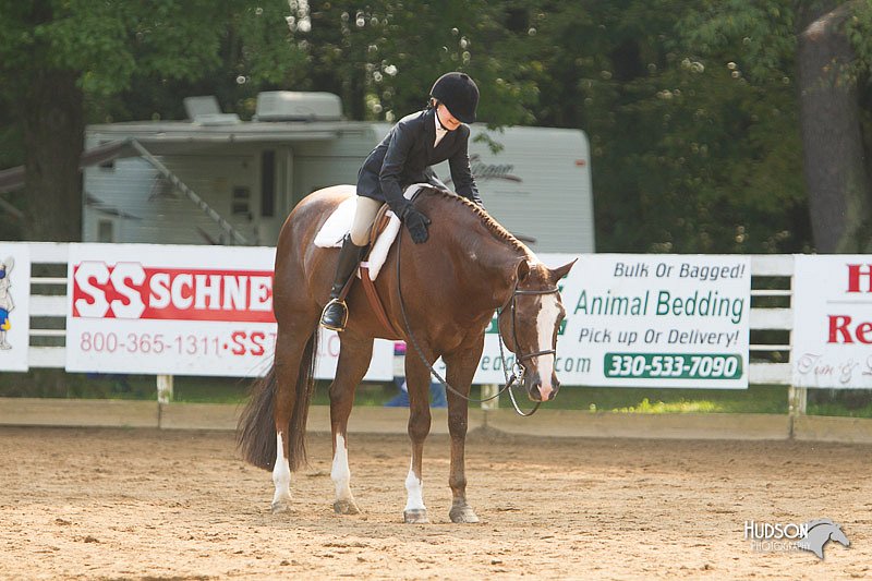 4H-Districts-11_1425.jpg