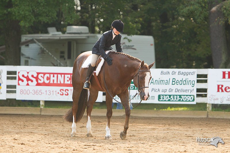 4H-Districts-11_1426.jpg