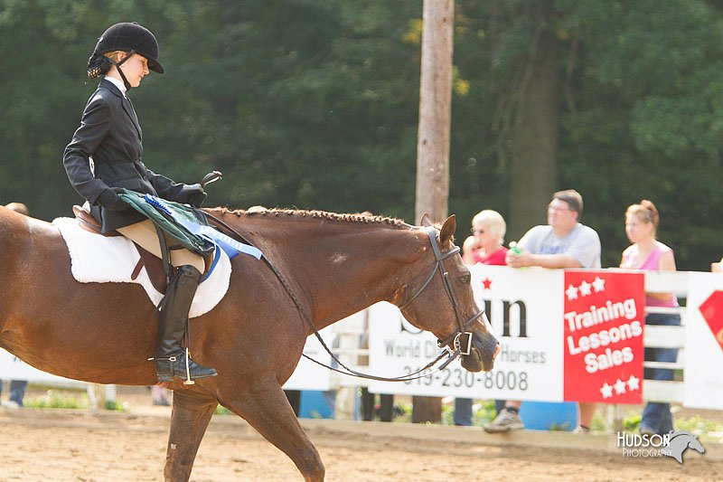 4H-Districts-11_1434.jpg