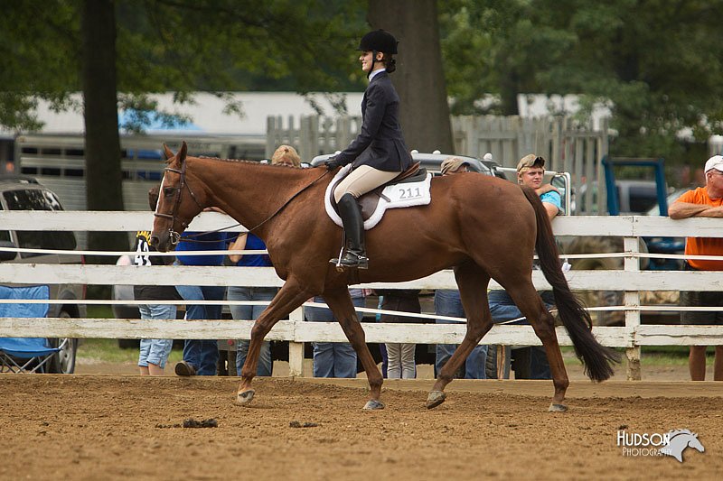 4H-Districts-11_1503.jpg