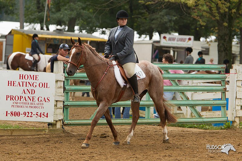 4H-Districts-11_1504.jpg