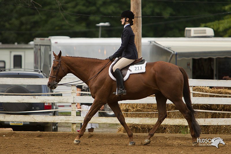 4H-Districts-11_1511.jpg