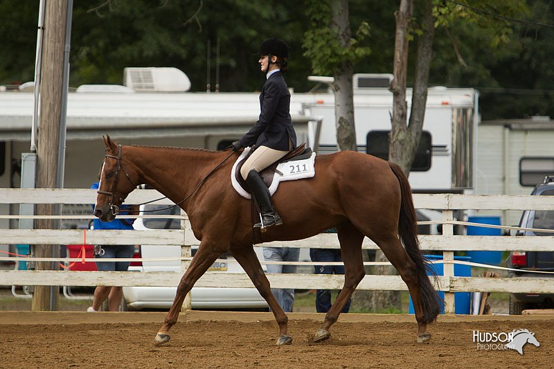4H-Districts-11_1512.jpg