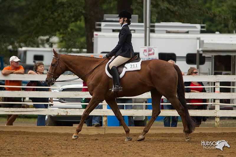 4H-Districts-11_1513.jpg