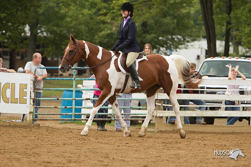 4H-Districts-11_1515.jpg