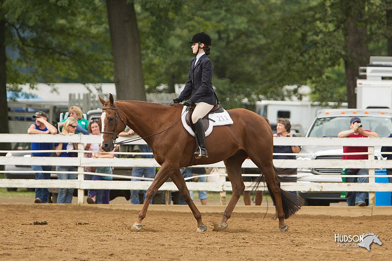 4H-Districts-11_1518.jpg