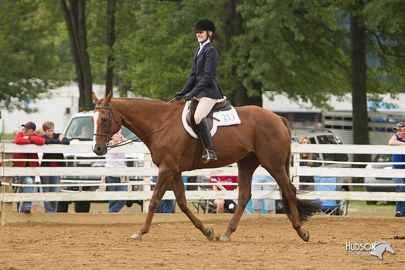 4H-Districts-11_1519.jpg