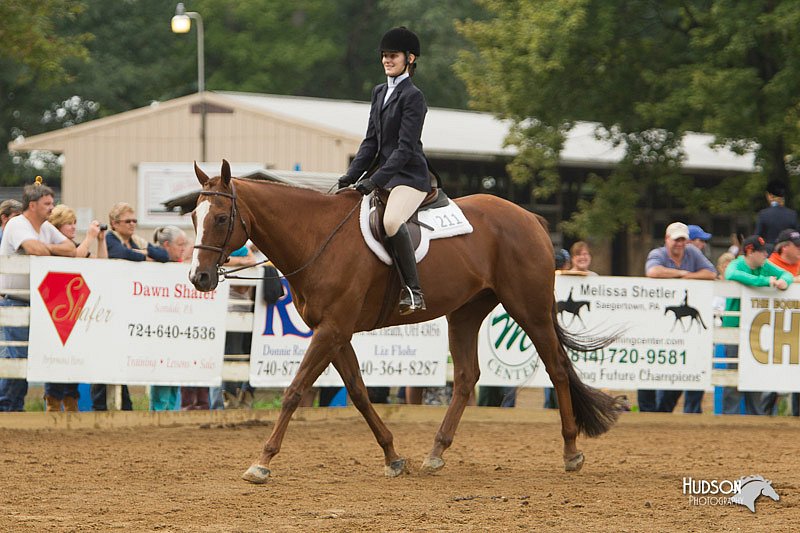 4H-Districts-11_1520.jpg