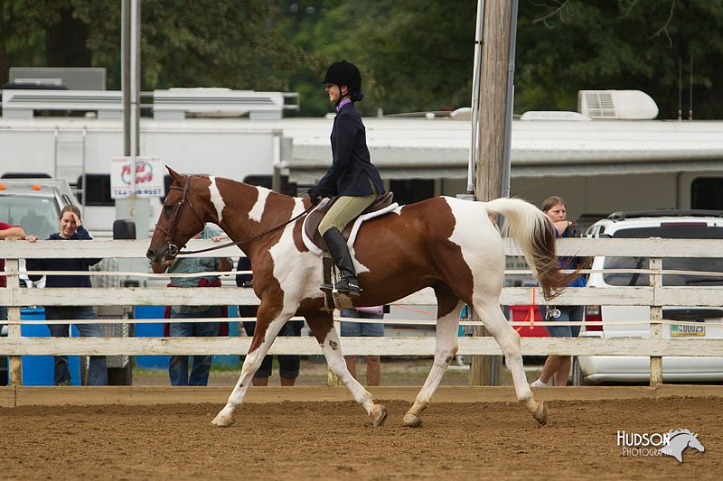 4H-Districts-11_1521.jpg