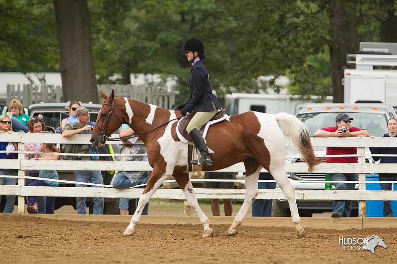 4H-Districts-11_1522.jpg