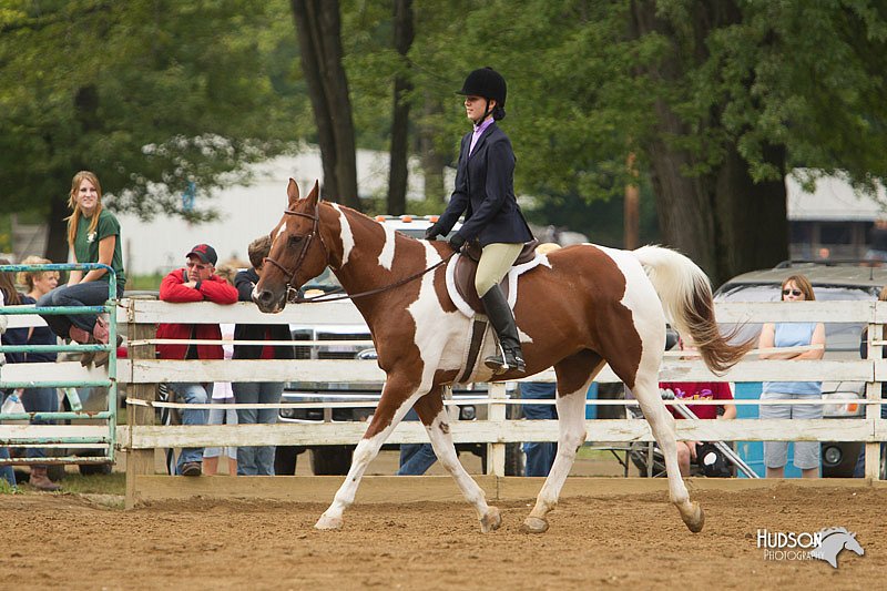 4H-Districts-11_1523.jpg
