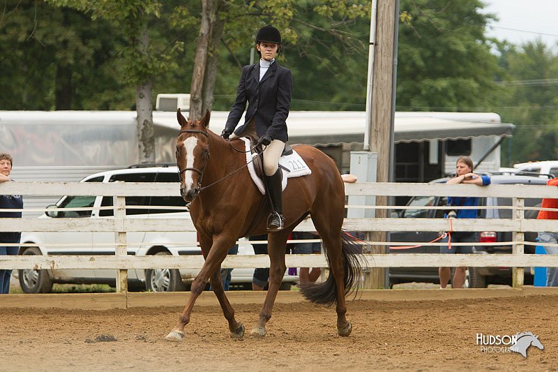 4H-Districts-11_1527.jpg