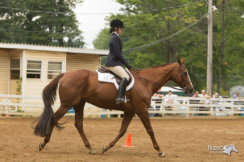 4H-Districts-11_1528.jpg