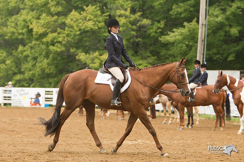4H-Districts-11_1529.jpg
