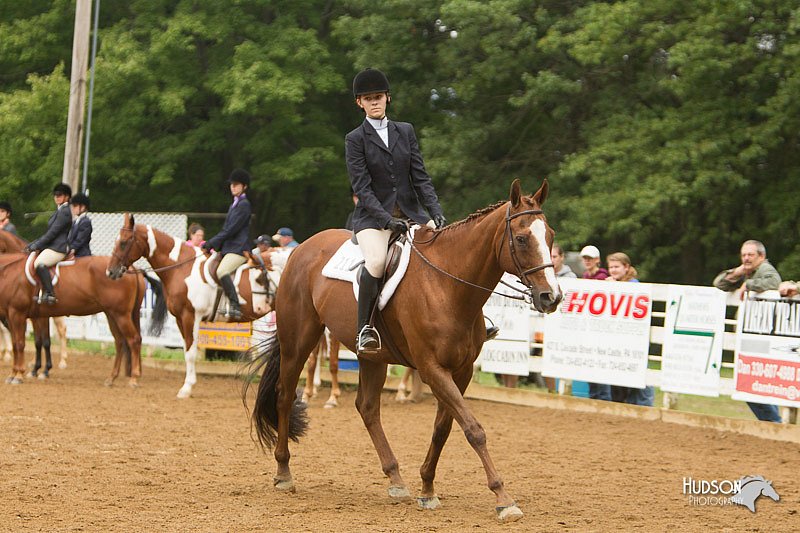 4H-Districts-11_1530.jpg
