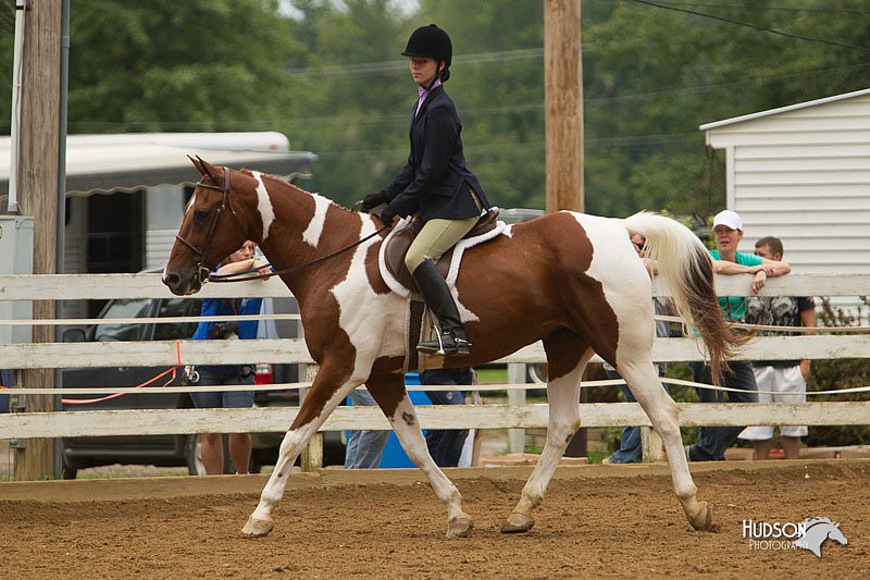 4H-Districts-11_1533.jpg