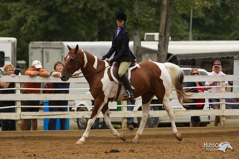 4H-Districts-11_1534.jpg