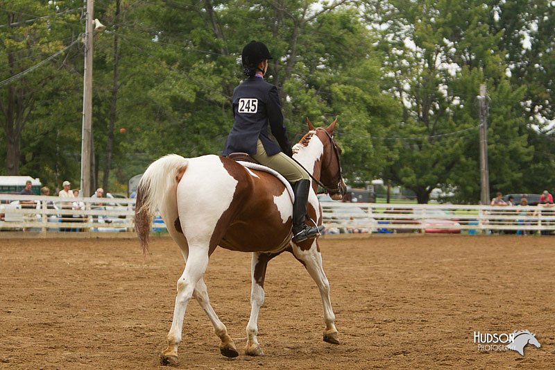 4H-Districts-11_1539.jpg