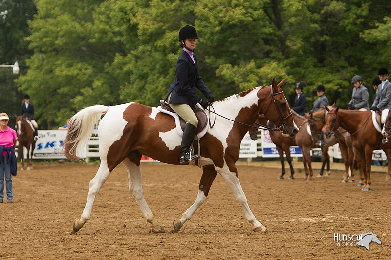 4H-Districts-11_1540.jpg