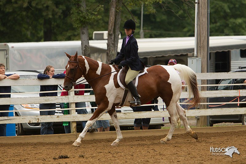 4H-Districts-11_1543.jpg