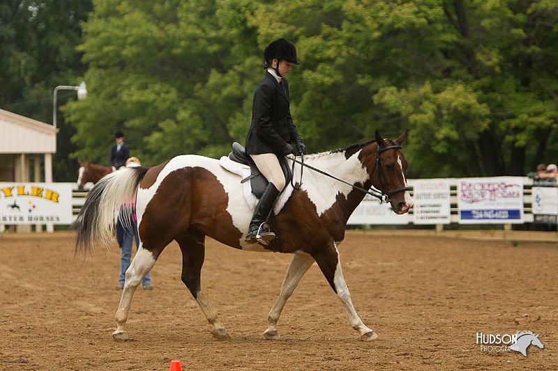 4H-Districts-11_1550.jpg