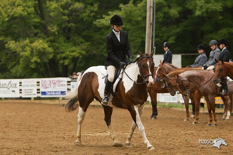 4H-Districts-11_1551.jpg