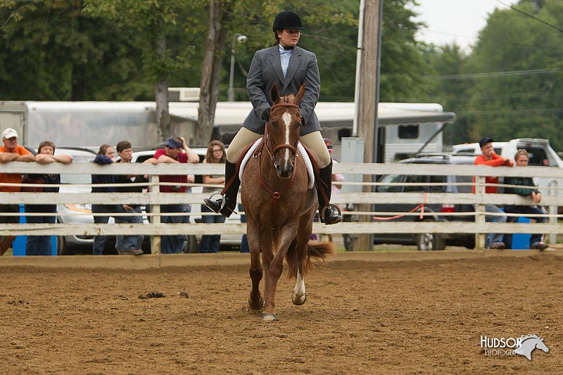4H-Districts-11_1554.jpg