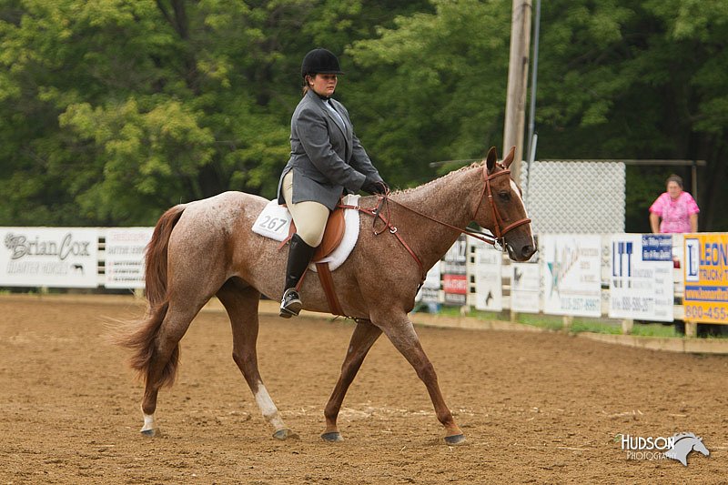 4H-Districts-11_1555.jpg