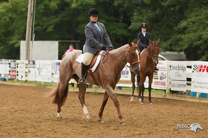 4H-Districts-11_1556.jpg
