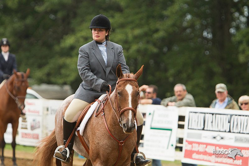 4H-Districts-11_1557.jpg