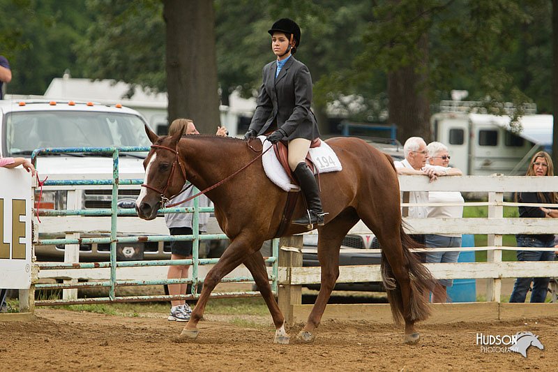 4H-Districts-11_1568.jpg
