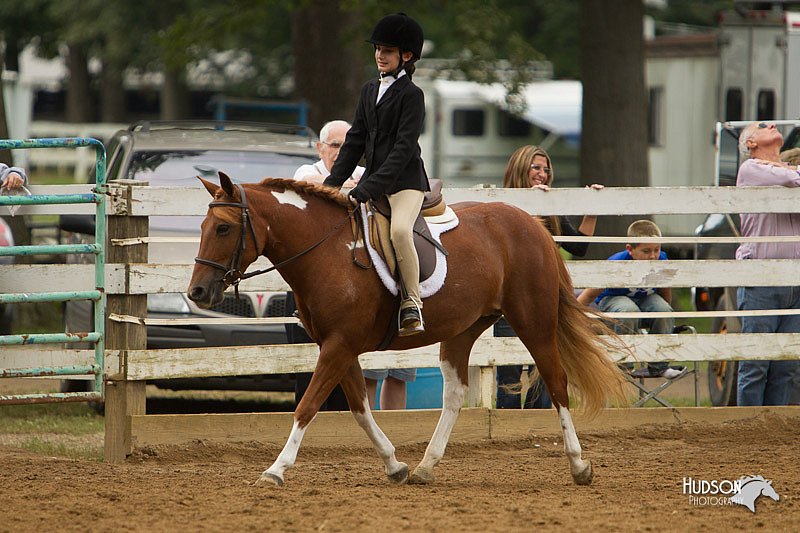 4H-Districts-11_1571.jpg