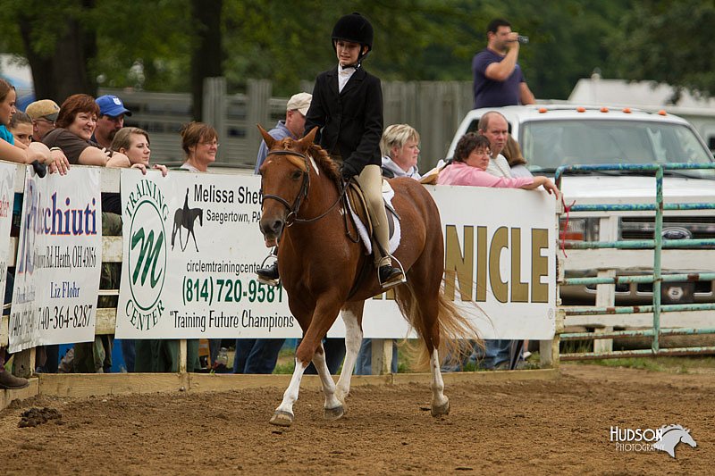 4H-Districts-11_1572.jpg