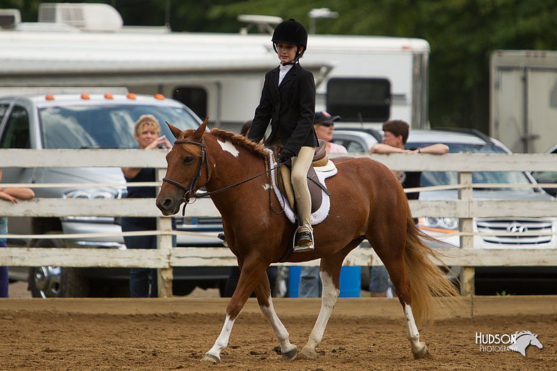4H-Districts-11_1578.jpg