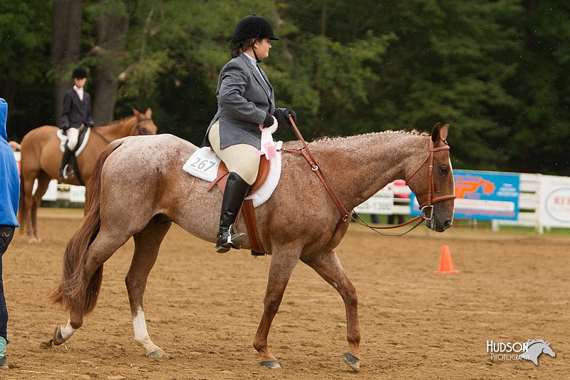 4H-Districts-11_1624.jpg