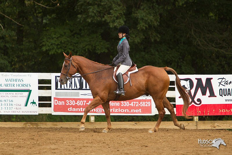 4H-Districts-11_1642.jpg