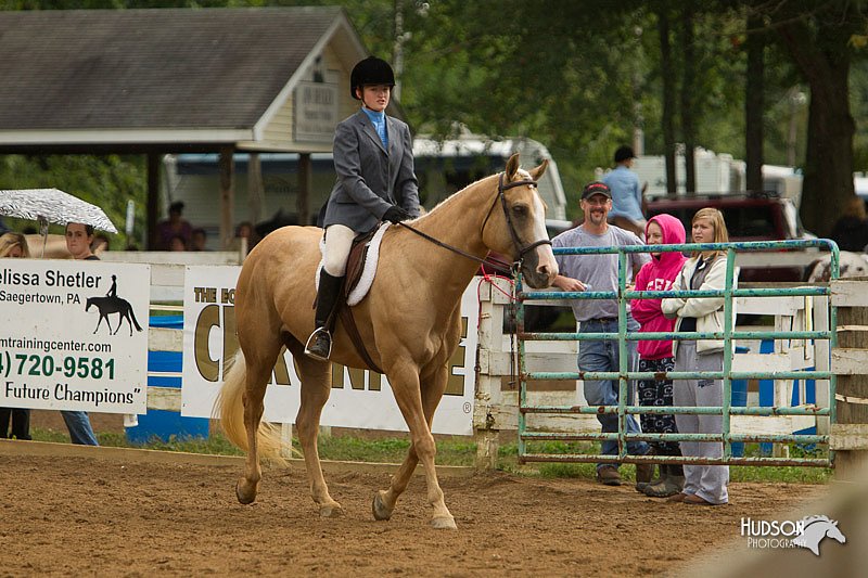 4H-Districts-11_1649.jpg
