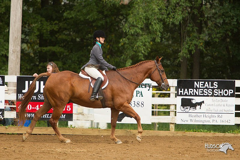 4H-Districts-11_1652.jpg