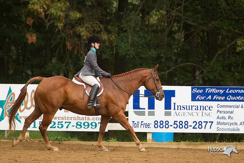 4H-Districts-11_1653.jpg