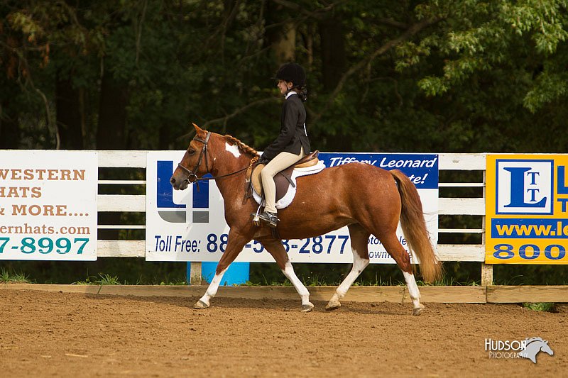 4H-Districts-11_1667.jpg