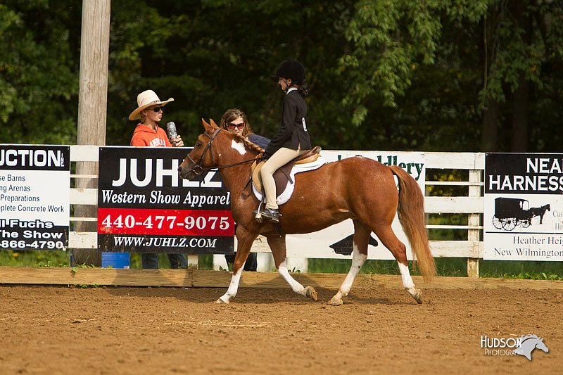 4H-Districts-11_1668.jpg