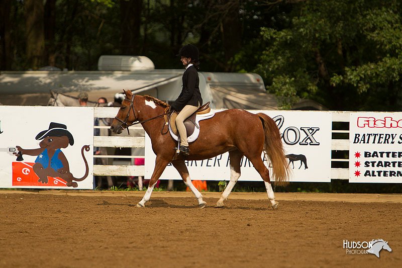4H-Districts-11_1670.jpg