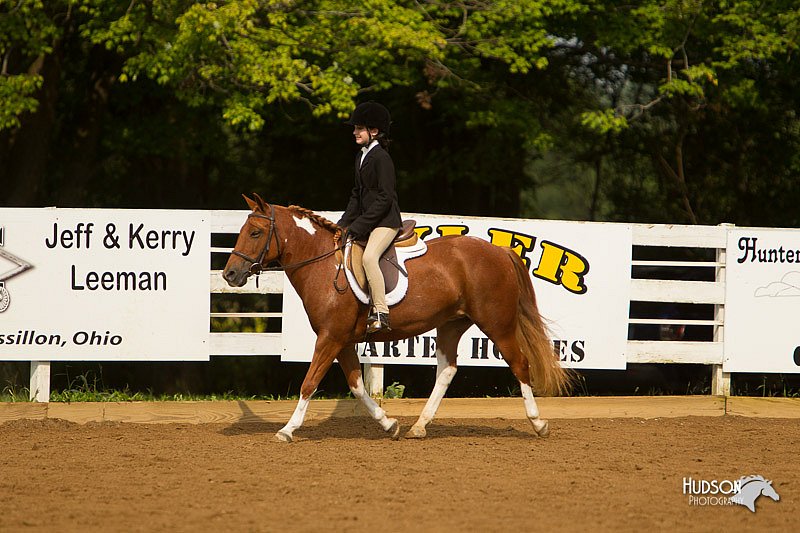 4H-Districts-11_1671.jpg
