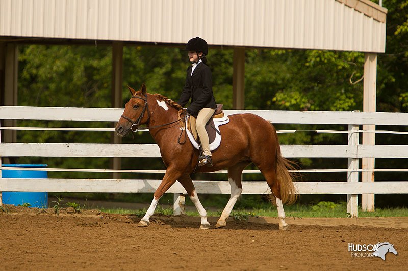 4H-Districts-11_1672.jpg